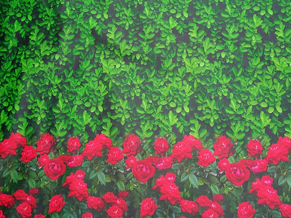 印花防寒布生产厂家