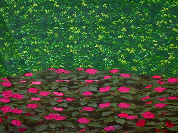 选择天津印花防寒布的优势