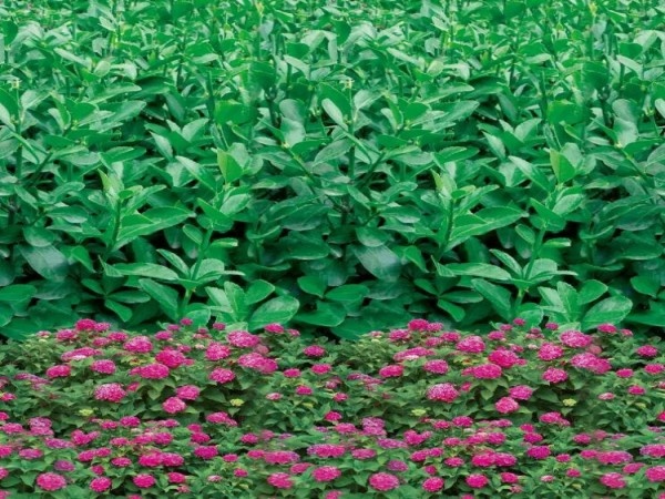 天津印花防寒布生产厂家未来发展趋势与展望