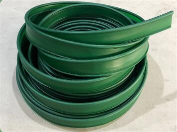 天津草石隔离带的未来发展趋势