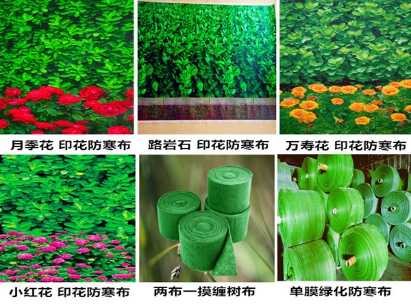 河北唐山丰润区绿化防寒布-高品质园林防冻布